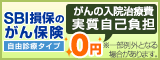 SBI損保自動車保険、がん保険